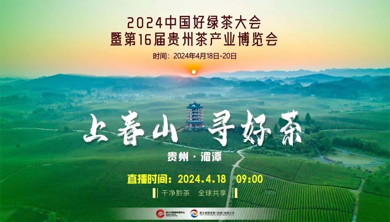 “上春山 采春茶”2024來(lái)遵義湄潭，一起采春茶