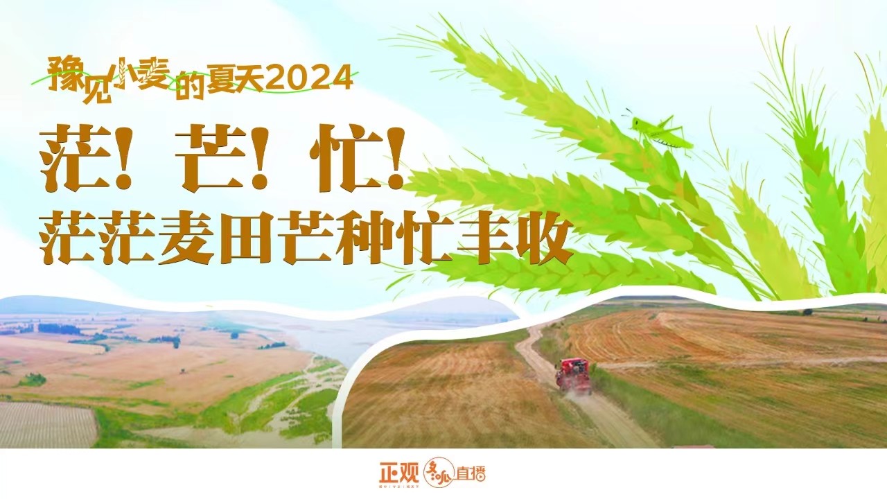 豫見小麥的夏天2024 | 茫！芒！忙！茫茫麥田芒種忙豐收！